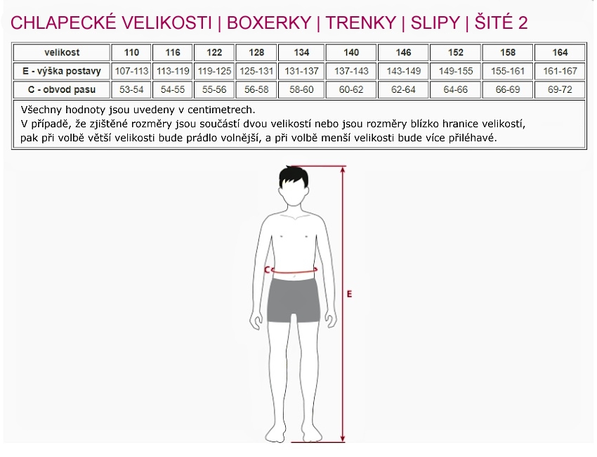 gina_chlapci_boxerky_trenky_slipy_site_rozsirene_cz_850_650.jpg