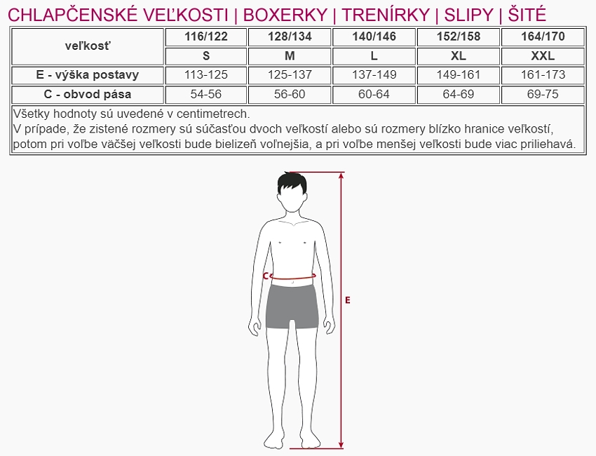gina_chlapci_boxerky_trenky_slipy_sk_850_650.jpg
