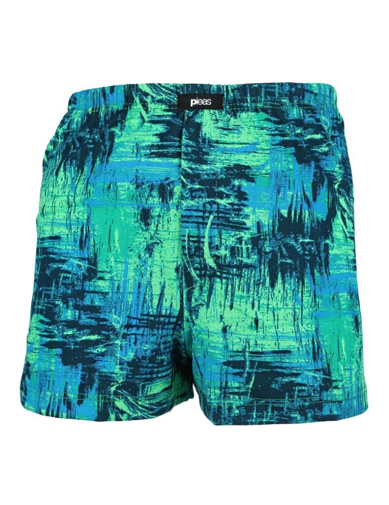 Pleas chlapčenské trenírky Boxershort 183764 Papradie 116