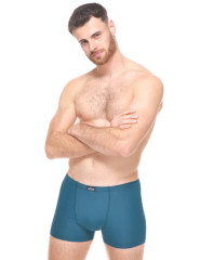 Pánské boxerky s potiskem 73135 (3)