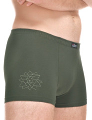 Pánské boxerky s potiskem 73135 (9)