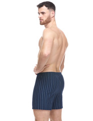 Pánské trenky volné model 75209 (6)