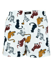 Chlapecké trenýrky Boxershort 183764