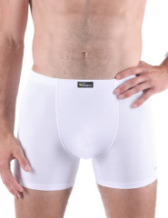 Pánské boxerky s potiskem 74163