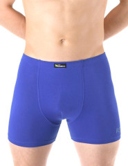 Pánské boxerky s potiskem 74163, Modrá (3)