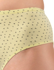 Dámské kalhotky klasické nadměrné velikosti 11093 (5)