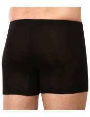 Pánské boxerky 180584, dlouhá nohavička (4)