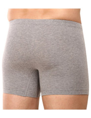 Pánské boxerky 180584, dlouhá nohavička (6)