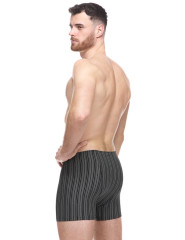 Pánské boxerky delší nohavička 74183H (5)