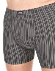 Pánské boxerky delší nohavička 74183H (6)