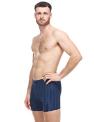 Pánské boxerky delší nohavička 74183H (8)