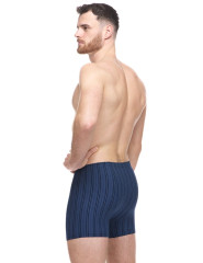 Pánské boxerky delší nohavička 74183H (9)